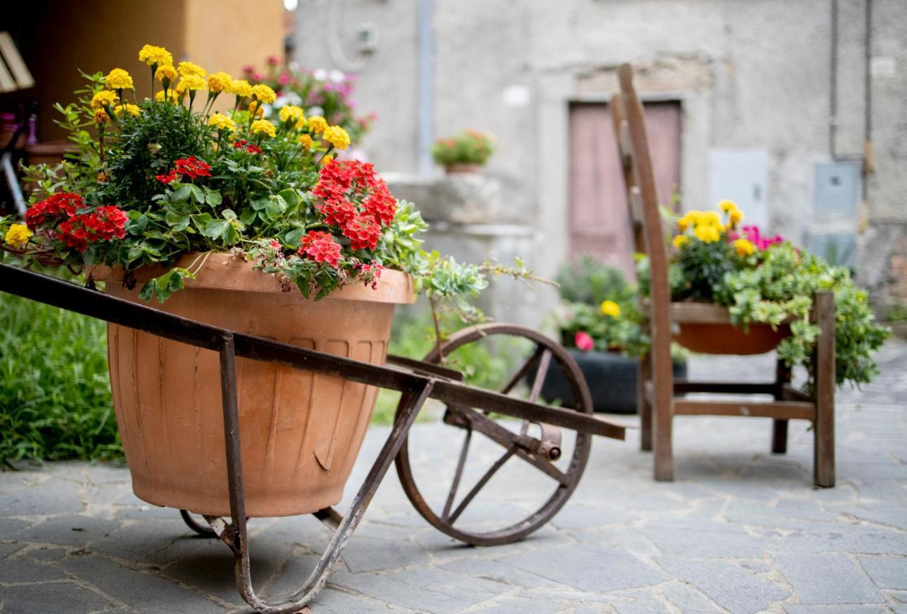 Dimora Turistica De' Piazza Hotel Roccalvecce Ngoại thất bức ảnh